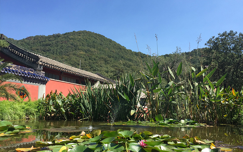 集体趴之探寻潭柘寺&定都峰